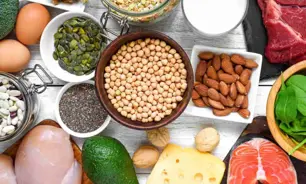 GNprotein food