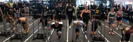 gymnation - signature