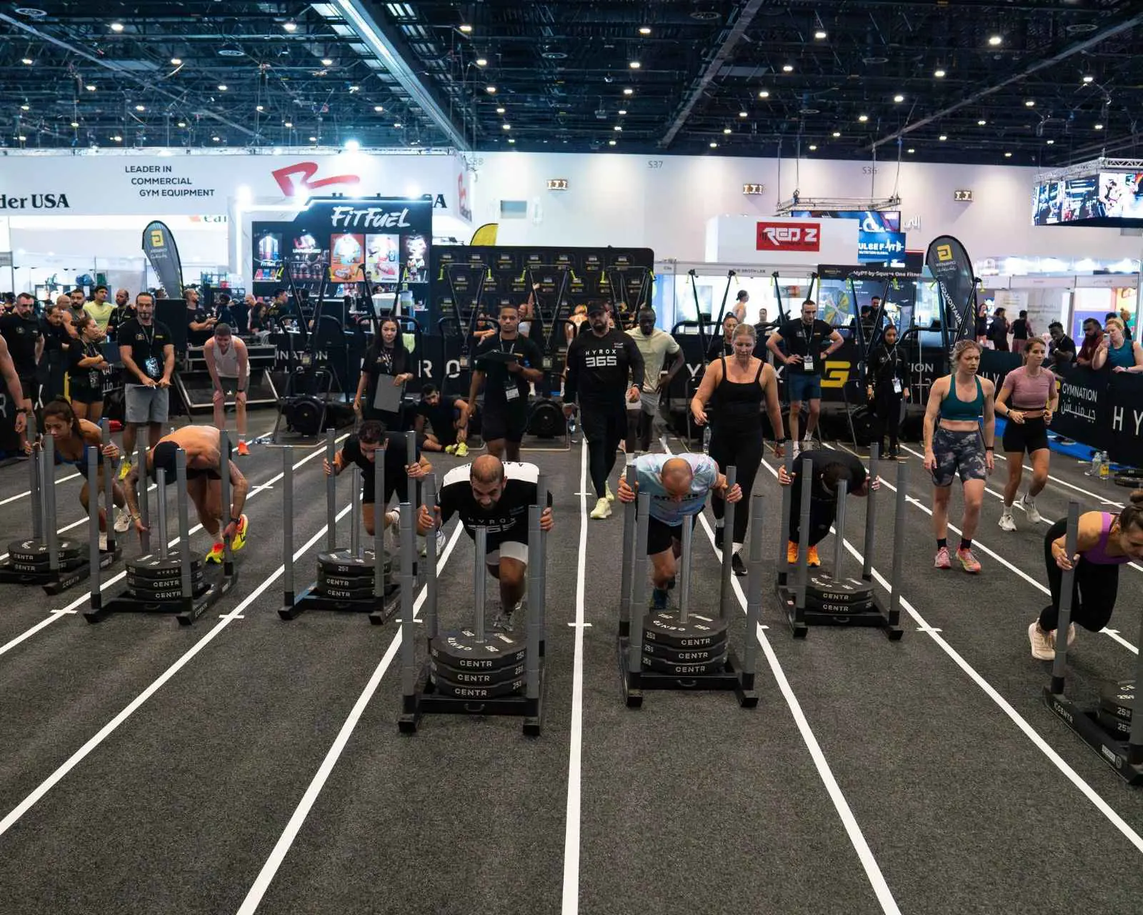 جيمنيشن - سيجنتشر