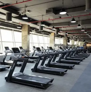 Gymnation Cardio