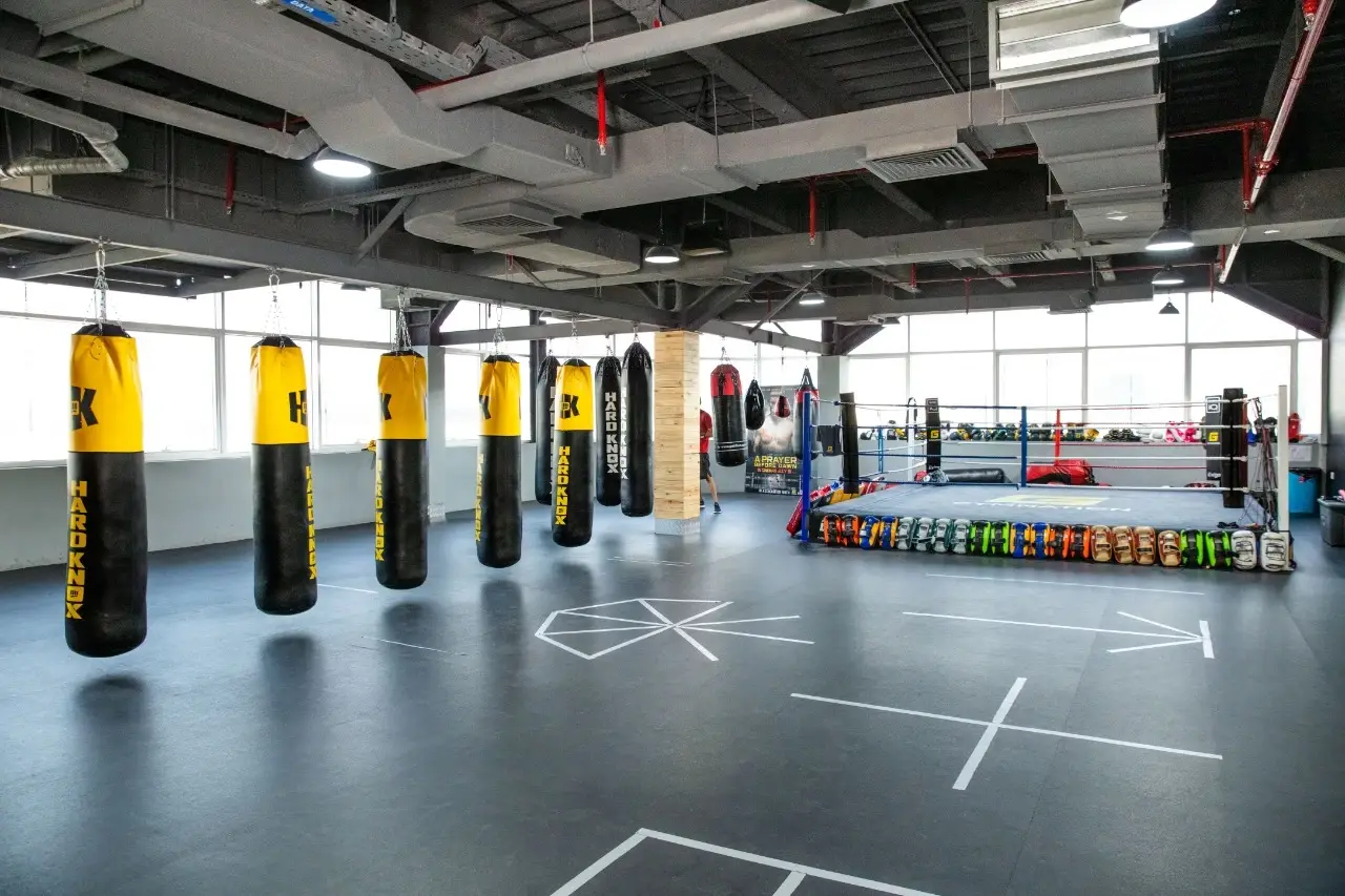 Aq Boxing Small