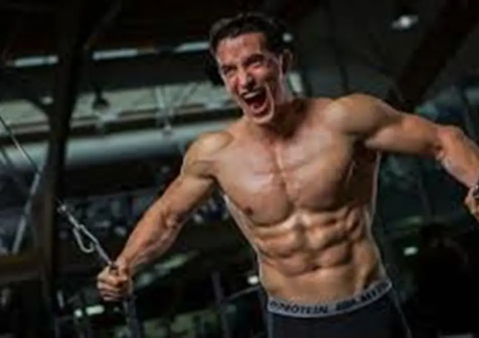 Muscule (1)