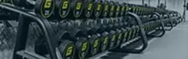 gym - equipment