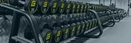 gym - equipment