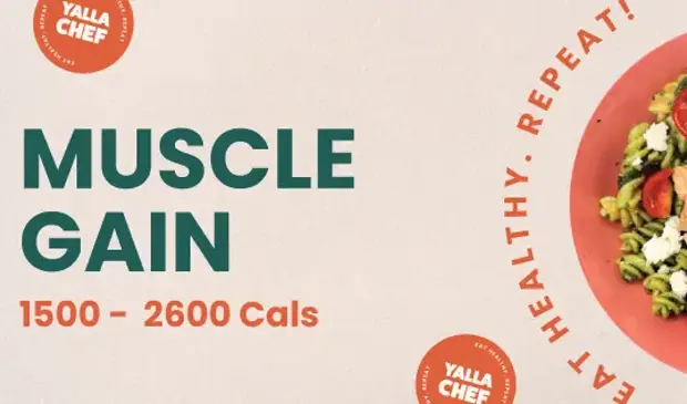 Muscle Gain
