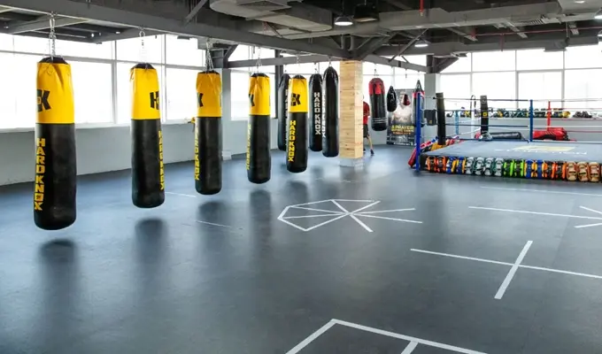 Aq Boxing Small