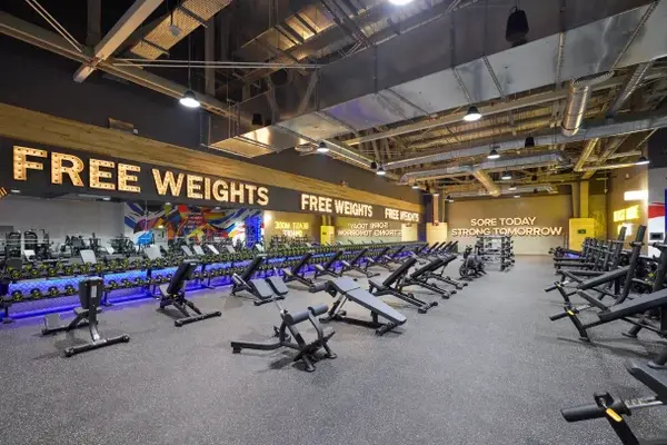 Gymnation Sharjah Central Men's Gym – Free Weights Area